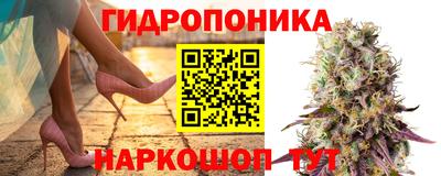 дживик Обнинск