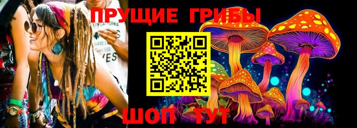 Павловский Посад  Галлюциногенные грибы Cubensis  Вход с VPN 