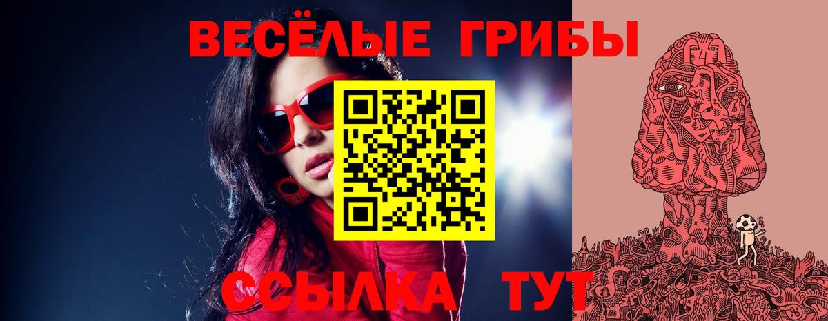 Галлюциногенные грибы Cubensis Павловский Посад